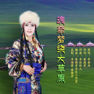 魂牵梦绕大草原 (伴奏)