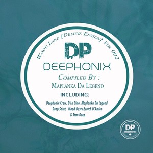 Robot Conductor (Original Mix)