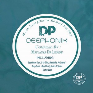 Robot Conductor (Original Mix)