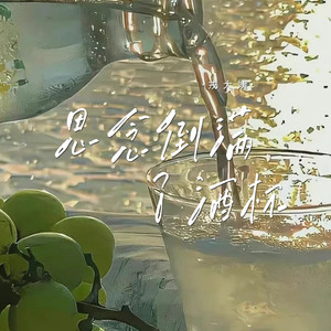 思念倒满了酒杯 (DJ阿尼版)