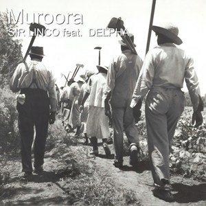 Muroora