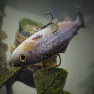 bien haut le gobelet (Explicit)