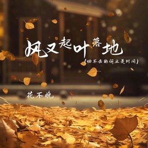 风又起叶落地 (回不去的何止时间)