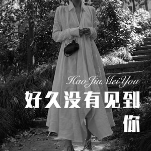 好久没有见到你 (Remix)