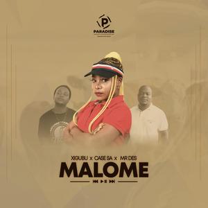 Malome(Amapiano)(Original)