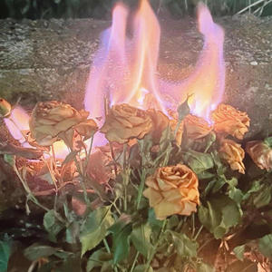 dont go (feat. bludcult)