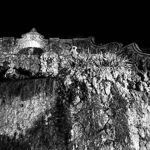 Wrong Ones (Explicit)