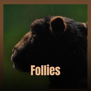 Follies