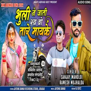 Bhule Ne Jati Roy Vo Tare May Ke (feat. SANJAY MANDLOI & RAMESH MUJHALDA)