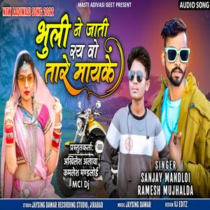 Bhule Ne Jati Roy Vo Tare May Ke(feat. SANJAY MANDLOI & RAMESH MUJHALDA)