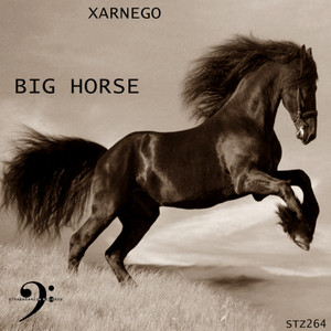 Big Horse