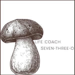 Seven-Three-O (Explicit)