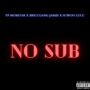 No Sub (feat. Suwoo Lucc & BriccGang James) [Explicit]