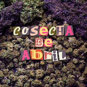 COSECHA DE ABRIL (Explicit)