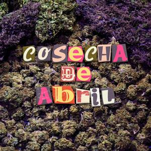 J. Grinberg 3am (feat. Essei ceocho, Uaies, S´PIBE, Diafra, Negro Nalech & GrooveDilla) (Explicit)