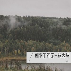 和平的约定-翁秀琴