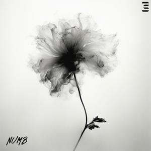 Numb (Inst.)