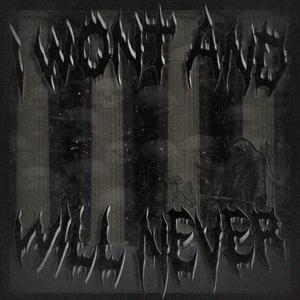 I WON'T AND WILL NEVER (Explicit)