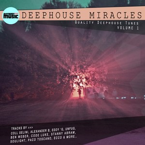 Deephouse Miracle's - Quality Deephouse Tunes, Vol. 1