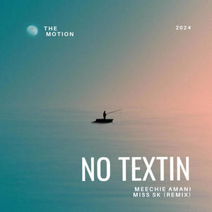 No Textin' (feat. Miss SK & Meechie Amani) [Remix]