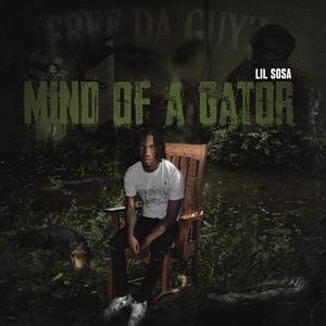 Mind Of A Gator (Explicit)