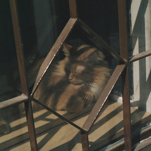 Contraband (Explicit)