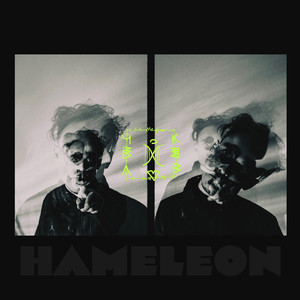 Hameleon (Remix)