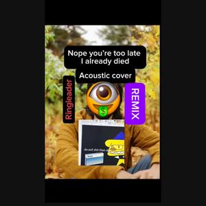 Nope your too late i already died acoustic remix (Explicit)