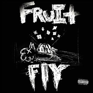 Fruit Fly (Explicit)