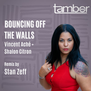 Bouncing Off The Walls (Stan Zeff Remix)