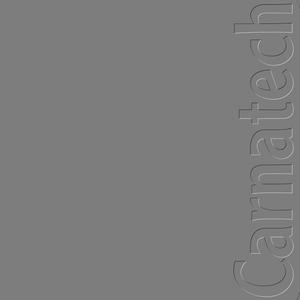 Carnatech_01