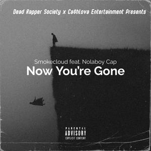 Now You're Gone (feat. SmokeCloud) [Explicit]