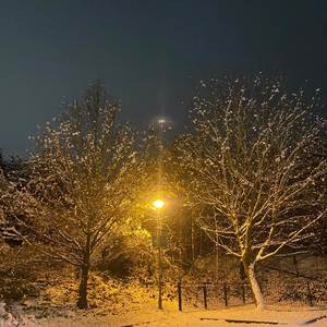 Look Where We Are (Explicit)