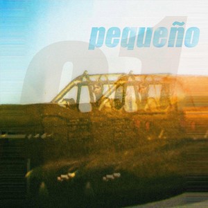 Champán y vasos de plástico