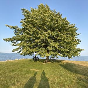 we were supposed to be forever but its cool