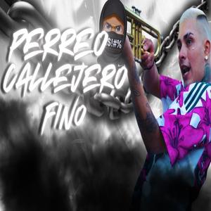 Perreo Callejero Fino