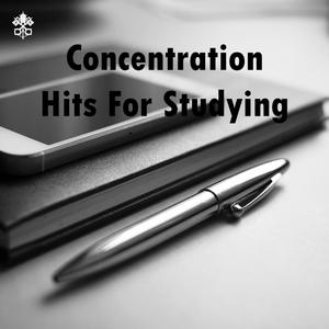 Concentration Hits For Studying