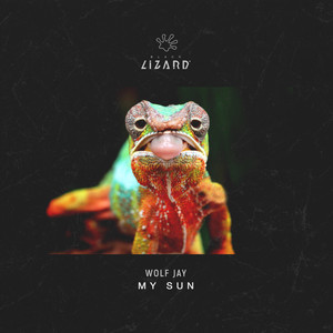 My Sun (Extended Mix)