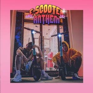 E-Scooter Anthem