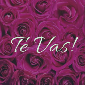 Te Vas!