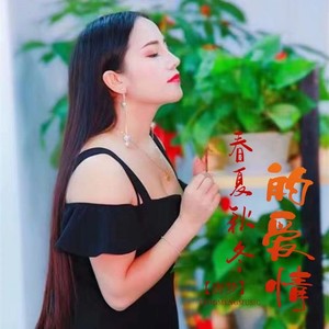 春夏秋冬的爱情 (DJ佐罗)