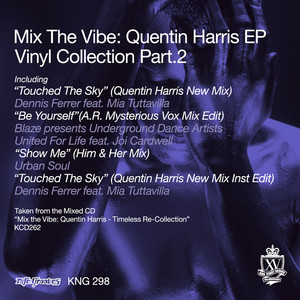 Touched The Sky (Quentin Harris New Mix Inst Edit)