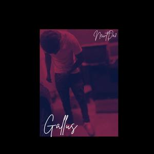 Gallus (feat. Gallus)