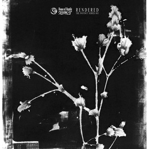 Hide in the Dark (Years Of Denial Remix)