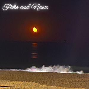 Fake and Naive