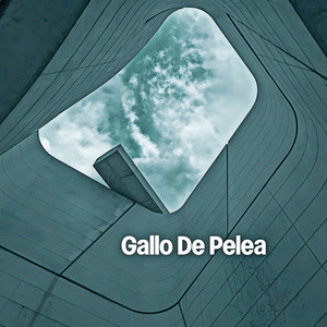 Gallo De Pelea