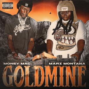 GOLDMINE (feat. Mari Montana) [Explicit]