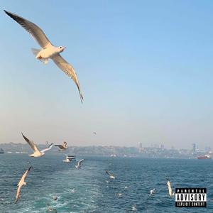 Seagulls (feat. Booda French & HPBLK) (Explicit)