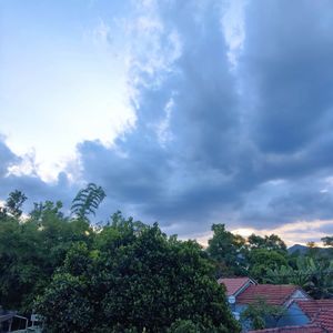 Darkness Of Cocktail