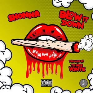 Blow It Down (Explicit)